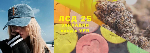 гашик Аркадак