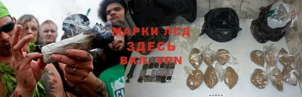гашик Аркадак