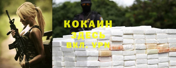 гашик Аркадак