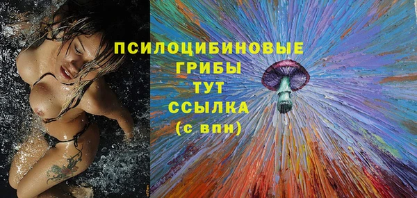 соль курить ск Арсеньев
