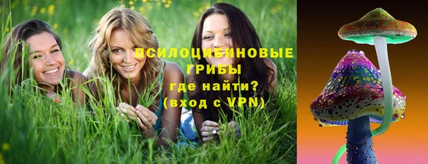 гашик Аркадак
