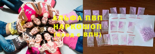гашик Аркадак