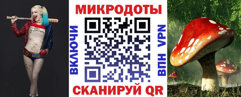 Псилоцибиновые грибы Cubensis  Меленки 